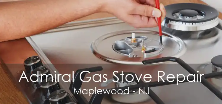 Admiral Gas Stove Repair Maplewood - NJ