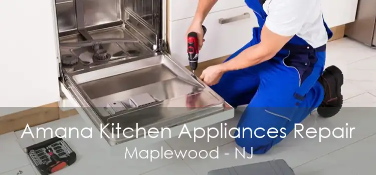 Amana Kitchen Appliances Repair Maplewood - NJ