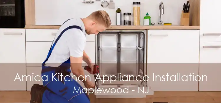 Amica Kitchen Appliance Installation Maplewood - NJ