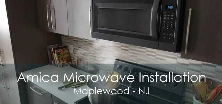 Amica Microwave Installation Maplewood - NJ