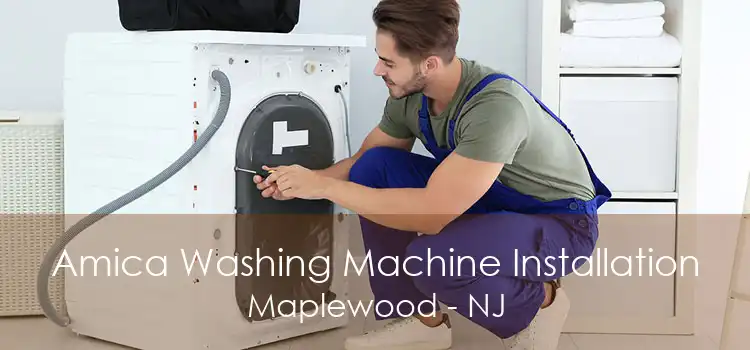 Amica Washing Machine Installation Maplewood - NJ
