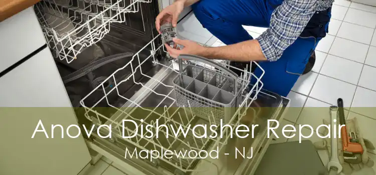 Anova Dishwasher Repair Maplewood - NJ