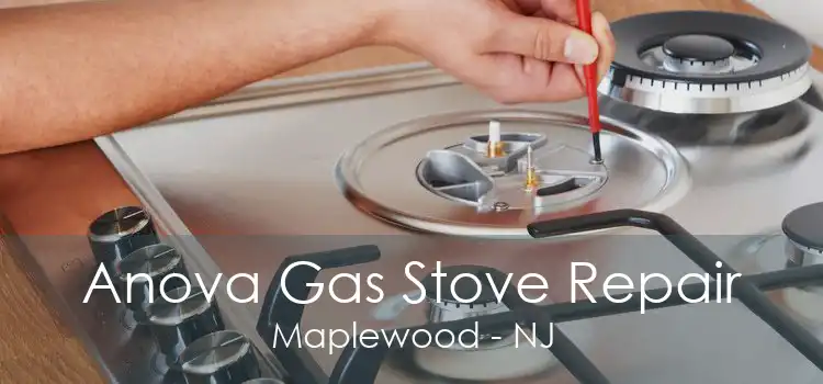 Anova Gas Stove Repair Maplewood - NJ