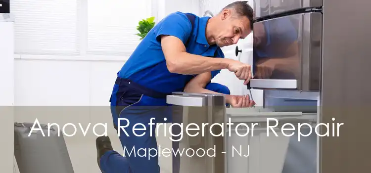 Anova Refrigerator Repair Maplewood - NJ