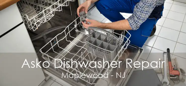 Asko Dishwasher Repair Maplewood - NJ