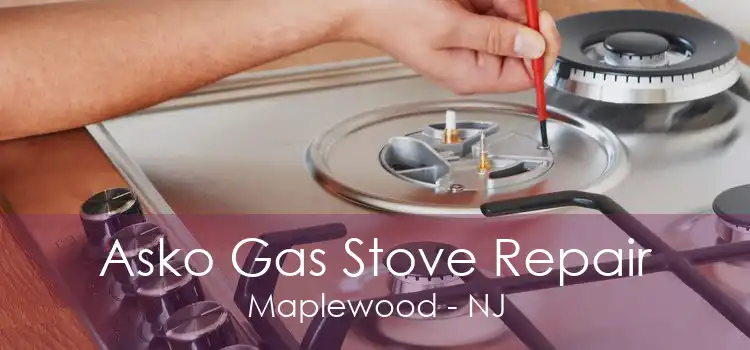 Asko Gas Stove Repair Maplewood - NJ