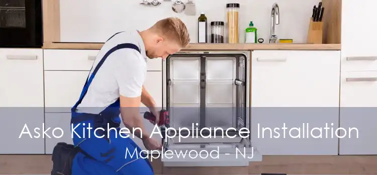 Asko Kitchen Appliance Installation Maplewood - NJ