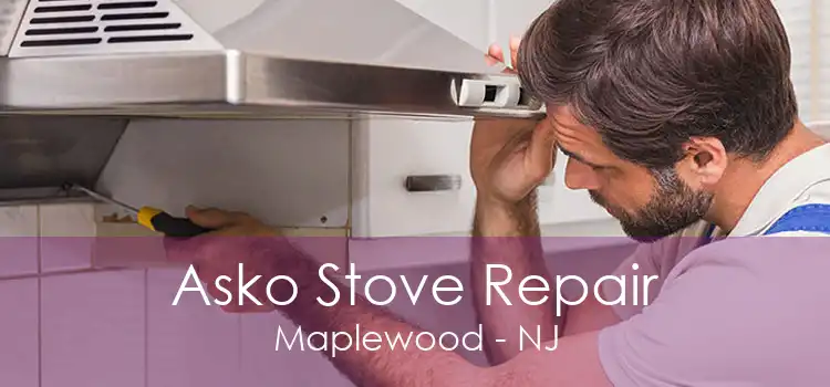 Asko Stove Repair Maplewood - NJ