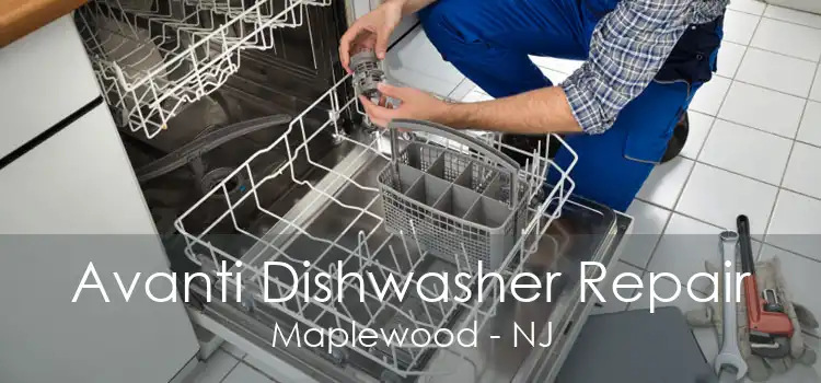 Avanti Dishwasher Repair Maplewood - NJ