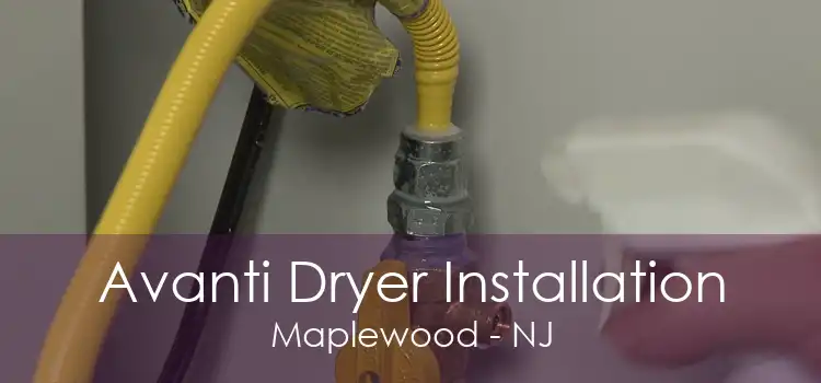 Avanti Dryer Installation Maplewood - NJ