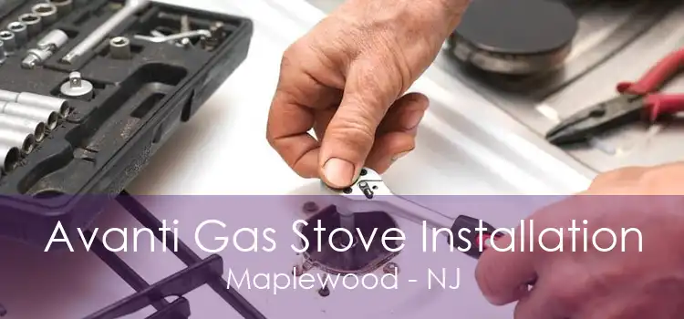 Avanti Gas Stove Installation Maplewood - NJ