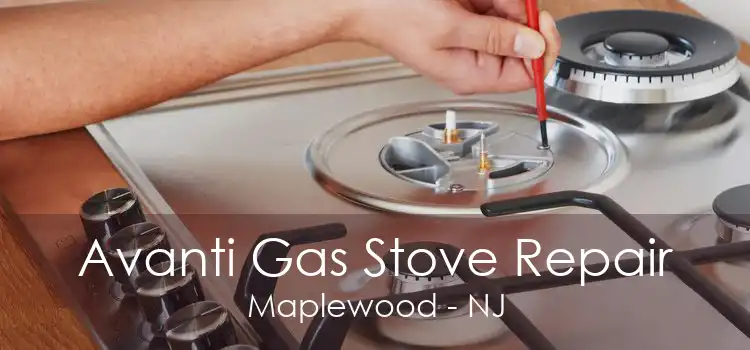 Avanti Gas Stove Repair Maplewood - NJ