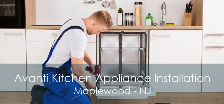 Avanti Kitchen Appliance Installation Maplewood - NJ