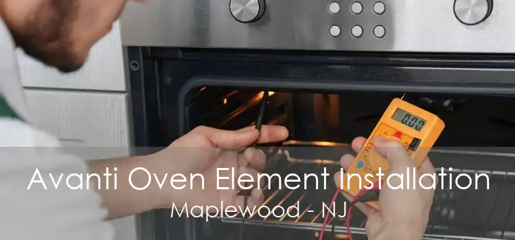 Avanti Oven Element Installation Maplewood - NJ