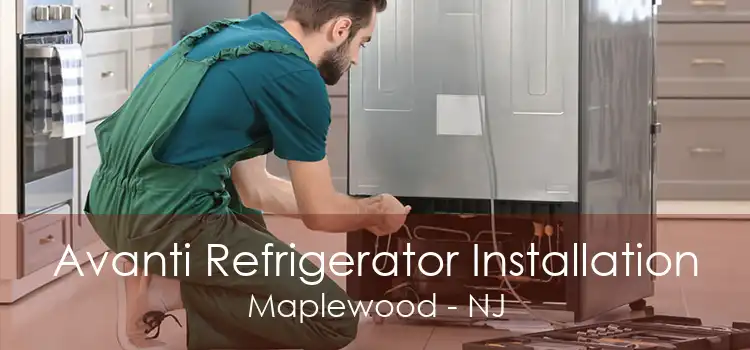 Avanti Refrigerator Installation Maplewood - NJ