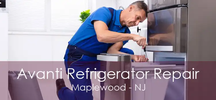 Avanti Refrigerator Repair Maplewood - NJ