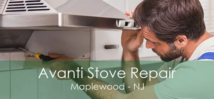 Avanti Stove Repair Maplewood - NJ