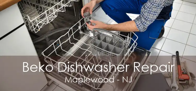 Beko Dishwasher Repair Maplewood - NJ