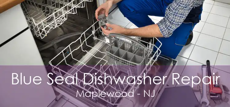 Blue Seal Dishwasher Repair Maplewood - NJ