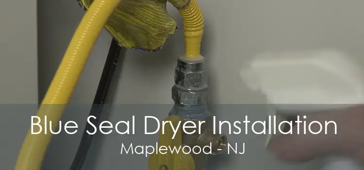 Blue Seal Dryer Installation Maplewood - NJ