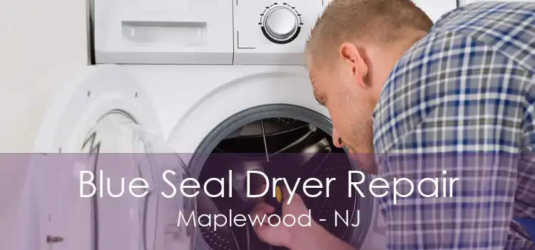 Blue Seal Dryer Repair Maplewood - NJ