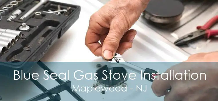 Blue Seal Gas Stove Installation Maplewood - NJ