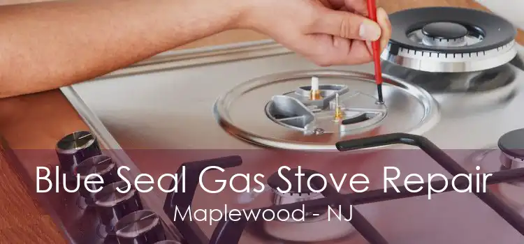 Blue Seal Gas Stove Repair Maplewood - NJ