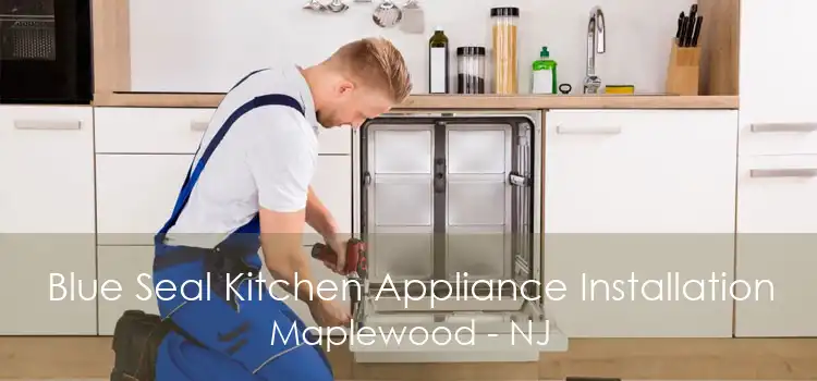 Blue Seal Kitchen Appliance Installation Maplewood - NJ