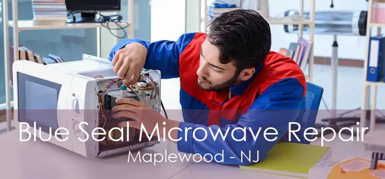 Blue Seal Microwave Repair Maplewood - NJ