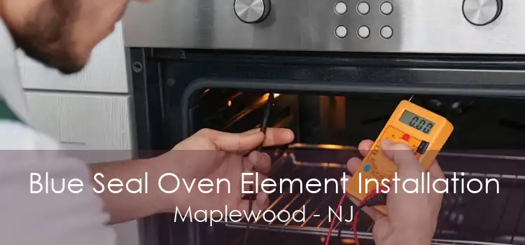 Blue Seal Oven Element Installation Maplewood - NJ