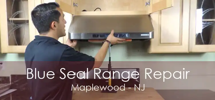 Blue Seal Range Repair Maplewood - NJ