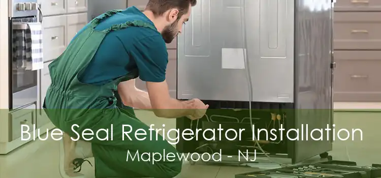 Blue Seal Refrigerator Installation Maplewood - NJ