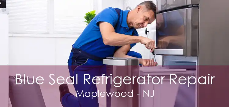 Blue Seal Refrigerator Repair Maplewood - NJ