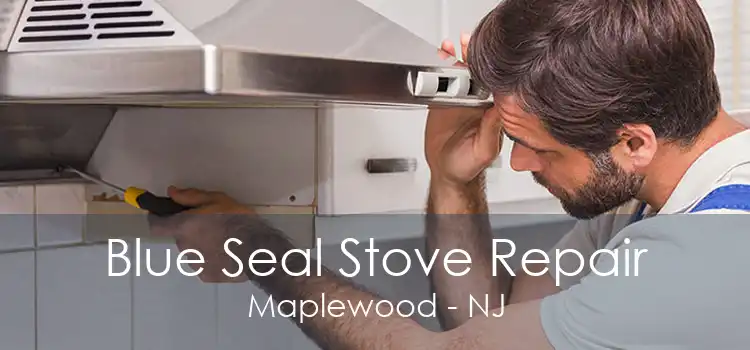 Blue Seal Stove Repair Maplewood - NJ