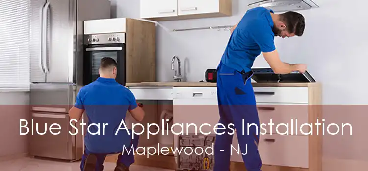 Blue Star Appliances Installation Maplewood - NJ