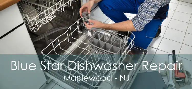 Blue Star Dishwasher Repair Maplewood - NJ