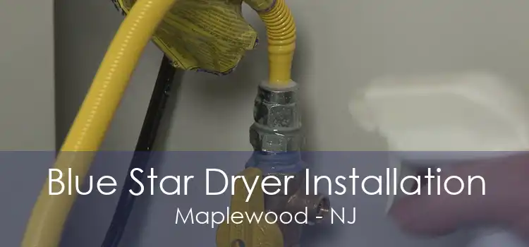 Blue Star Dryer Installation Maplewood - NJ