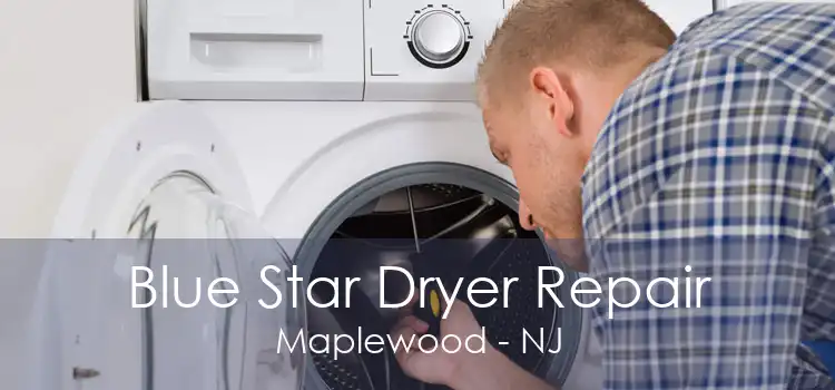 Blue Star Dryer Repair Maplewood - NJ