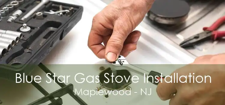 Blue Star Gas Stove Installation Maplewood - NJ