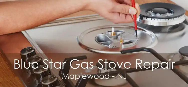 Blue Star Gas Stove Repair Maplewood - NJ