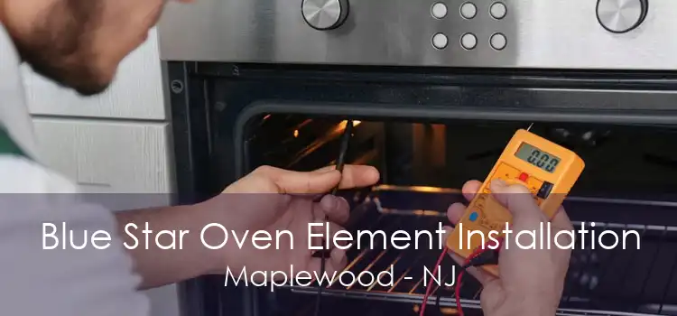 Blue Star Oven Element Installation Maplewood - NJ