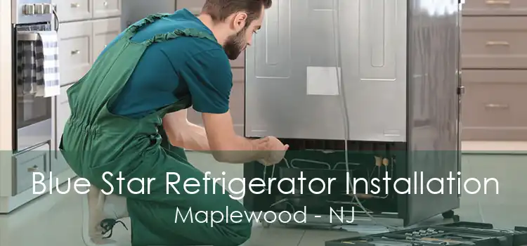 Blue Star Refrigerator Installation Maplewood - NJ