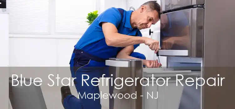 Blue Star Refrigerator Repair Maplewood - NJ