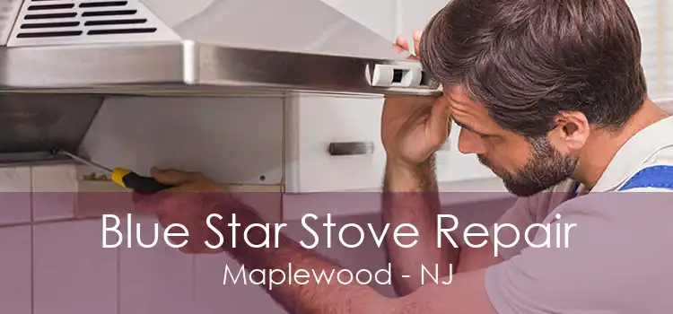 Blue Star Stove Repair Maplewood - NJ