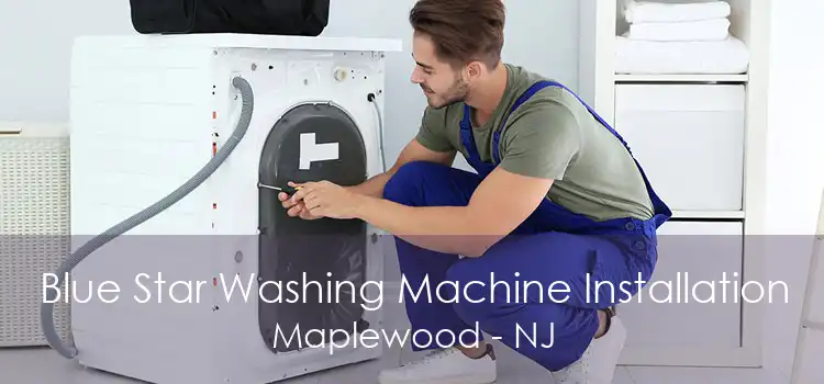 Blue Star Washing Machine Installation Maplewood - NJ