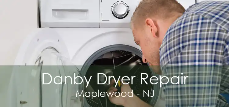 Danby Dryer Repair Maplewood - NJ