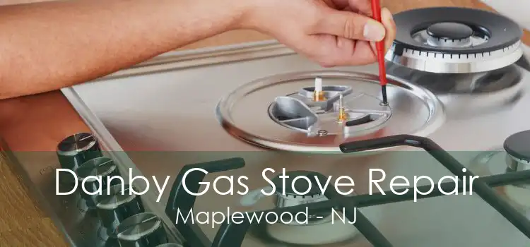 Danby Gas Stove Repair Maplewood - NJ