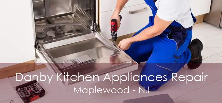 Danby Kitchen Appliances Repair Maplewood - NJ