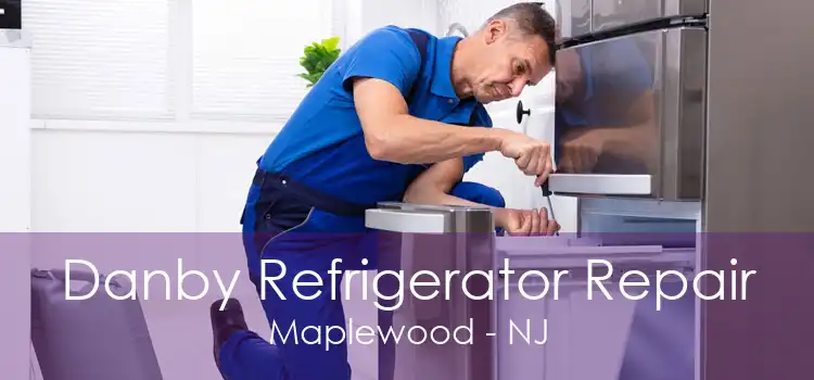 Danby Refrigerator Repair Maplewood - NJ