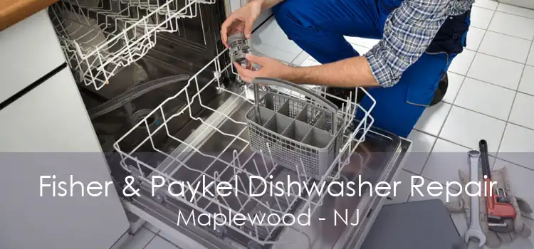 Fisher & Paykel Dishwasher Repair Maplewood - NJ